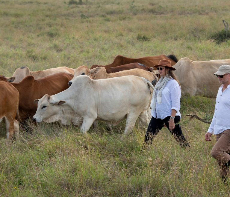 Active Ranching