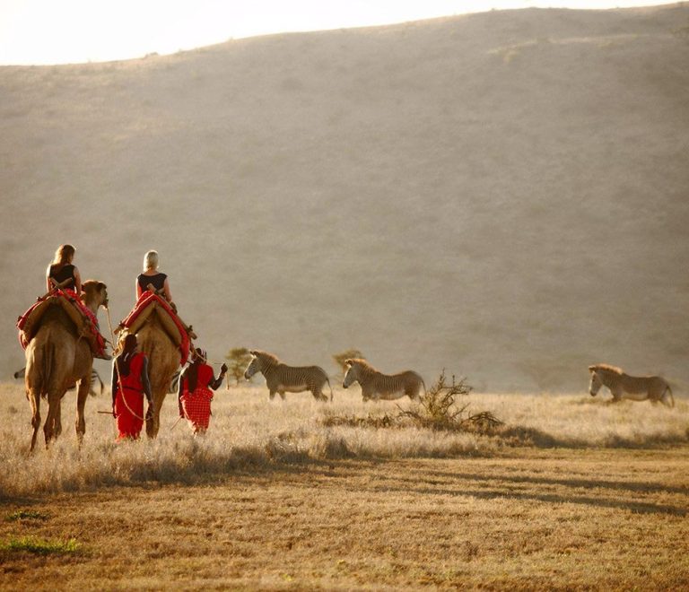 Camel Walks & fly camping